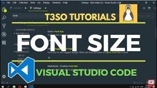How to change Font size in Visual Studio Code