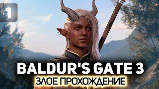 Злое прохождение начинается  Baldur’s Gate 3 [PC 2023] #1