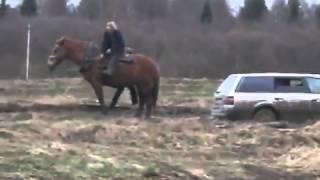 Лошадь тянет машину. Horse pulls the car