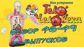 Как устроено тело человека | DeAgostini | 46-49 выпуски