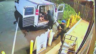 Video captures $100,000 dog heist at Los Angeles pet shop