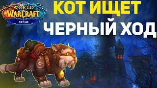 Помогите коту найти Черный Ход - Каражан на Wow Sirus