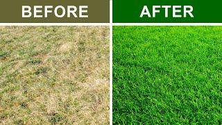 9 Secrets To Keep Your Lawn Green and Healthy