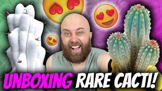 10 x New Cacti I Can't Believe I Own!! | Chatty Plant Unboxing