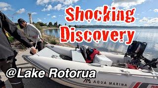 Lake Rotorua Fishing: Essential Tips and Tricks