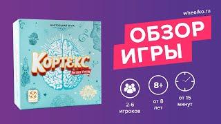 Настольная игра "Кортекс" - краткий обзор от магазина настольных игр Wheelko