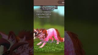 Сходка в вилд крафт) #подпишись #хочуврекомендации #видео #меме #edit #wildcraft