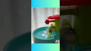 Budgie Bath Time: The Cutest Splash You'll Ever See! #birds #viral #parakeet #parrot #shorts