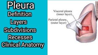 Pleura