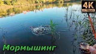 Мормышинг. Фазантейл с флюоресцентной головой...