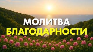 Высокие вибрации благодарности  Измени свою жизнь за 12 минут в день  Мощная мотивация на утро