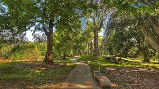 Georgia, Shekvetili, Dendrological park Грузия, Шекветили, Дендрологический парк