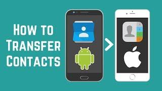 How to Transfer Contacts from Android to iPhone