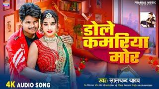 Lalchand Yadav | का जोरदार देशी धमाका | डोले कमरिया मोर | New bhojpuri song 2024 | #Dole kamriya mor