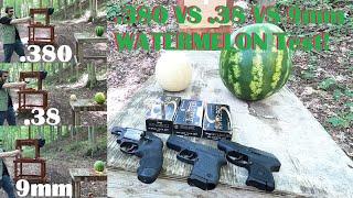 Best Pocket Gun Caliber? .380 VS .38 VS 9mm WATERMELON Test!