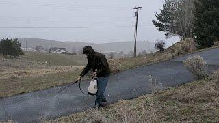 This Stops Driveway Ice Better Than Rock Salt