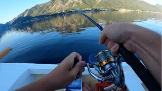 Fishing in Kotor Montenegro - Mackerel - Ep 3