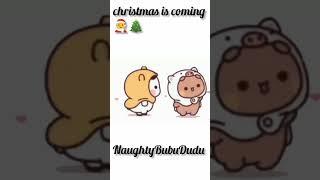 Christmas is coming ️#Naughtybubududu#shortfeed