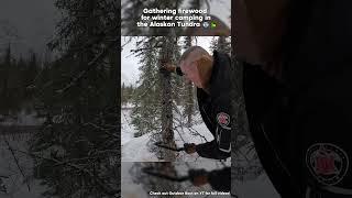 Gathering firewood for winter camping in the Alaskan Tundra!