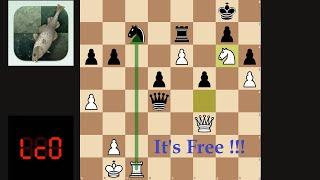 Lc0 vs Stockfish Best Match |  Collection 316