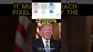 Convolutional Neural Networks (CNNs) by #andrewtate and #donaldtrump