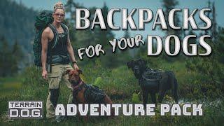 Dogs need Backpacks too!!  Adventure Pack: Backpacks for our DOGS from Terrain D.O.G.