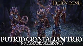 Putrid Crystalian Trio Boss Fight (No Damage / Melee Only) [Elden Ring]