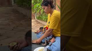 Monkey thrives in comfort and joy with humans ���� #ForeverHappy #MonkeyAndMe