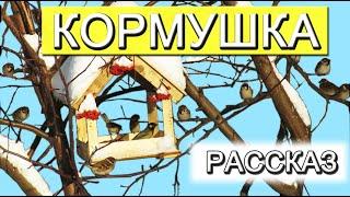 Кормушка для птиц своими руками. Рассказ про кормушку и птиц.