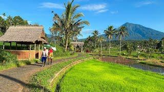 ADEM TENAN, Suasana Pedesaan Jawa Timur - Banyuwangi Di Pagi Hari. Bikin Betah Berlama-lama Disini