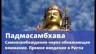 Падмасамбхава - Самоосвобождение через обнажающее внимание  Прямое введение в Ригпа Марина Белик