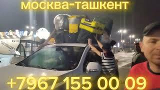 #москва #ташкент #такси ташкент-москва такси