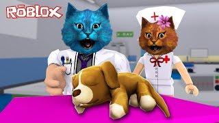 СИМУЛЯТОР ВЕТЕРИНАРА в РОБЛОКС / ЛЕЧИМ ЖИВОТНЫХ  С КОТЁНКОМ ЛАЙКОМ / VET SIMULATOR ROBLOX