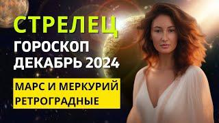 СТРЕЛЕЦ : ВАШ СЕЗОН - ВАШЕ ВРЕМЯ | ГОРОСКОП на ДЕКАБРЬ 2024 ГОДА