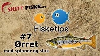 Fisketips #7 med Skitt Fiske - Ørretfiske med sluk og spinner