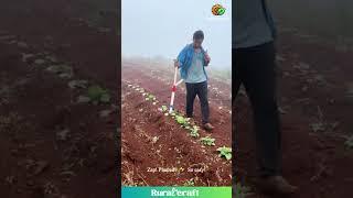 This Farm Gadget is Straight Outta Sci-Fi!  Foggy Field Ops! #farminglife #coolgadgets #futurefarm