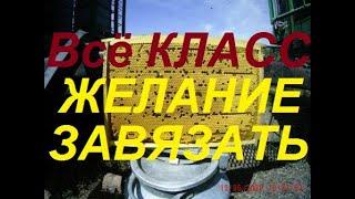 Ошибки при создании отводков.Затраты кочевого пчеловодства.Есть желание  завязать с пчелиным хобби(