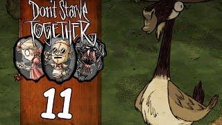 Прохождение Don't Starve Together (coop) #11 - Утиные истории