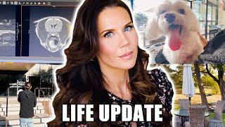 LIFE UPDATE ... Here's My Vlog ‍️