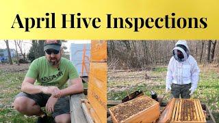 Full Hive Inspections ! !