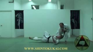 Okinawa Shorin-ryu Karate: Parent Style of Shotokan (clip 10)