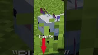 How To Get ANY Cape In Minecraft without mods!