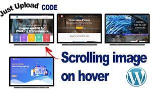 Scroll Image From Top To Bottom in WordPress | Image Hover Effects WordPress | Scroll  Hover Effect