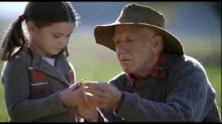 McCain Baby Peas 2010 Ad