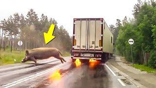 Unbelievable Traffic Chaos Caused by Nature