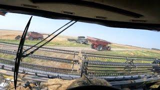 4 Combines, Comparing Fendt 9T to Gleaner S98