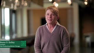 Understanding Inflammation and the Immune System