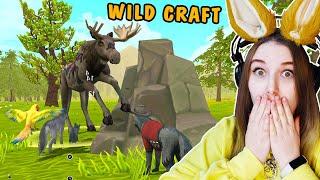 ИГРАЮ ЗА ВОЛКА И ВЫБИЛА РЕДКОГО ЗВЕРЯ ИЗ СУНДУКА В ИГРЕ НА ТЕЛЕФОН WILD CRAFT