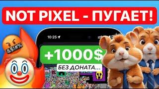 NOT PIXEL - МНЕНИЯ ЛЮДЕЙ РАЗДЕЛИЛИСЬ! ОБСУЖДАЕМ ИНФУ ПО ПРОЕКТУ