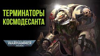 Терминаторы Космодесанта. Ваха-ликбез. Warhammer 40000 @GexodromRPG